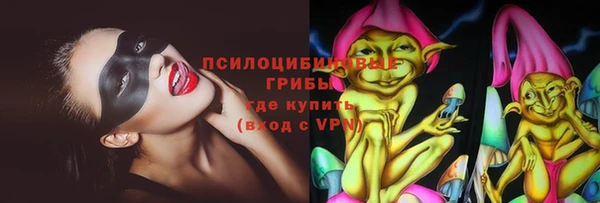 тгк Богородск
