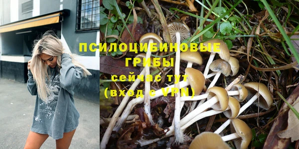 MDMA Premium VHQ Богородицк