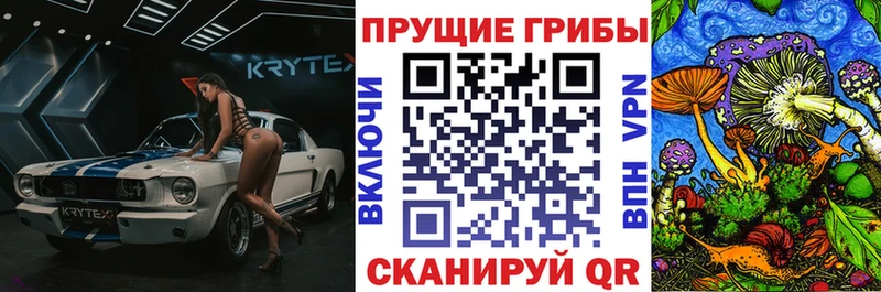 хочу Котовск OMG зеркало Галлюциногенные грибы ЛСД